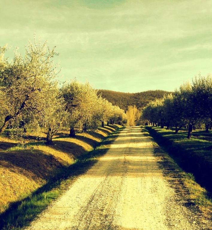 Podere Le Corone Villa Monte Castello di Vibio Dış mekan fotoğraf