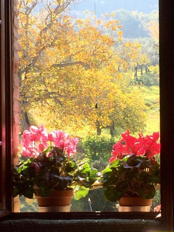 Podere Le Corone Villa Monte Castello di Vibio Dış mekan fotoğraf