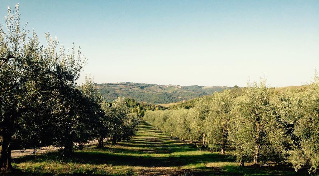 Podere Le Corone Villa Monte Castello di Vibio Dış mekan fotoğraf