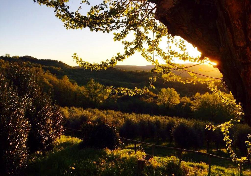 Podere Le Corone Villa Monte Castello di Vibio Dış mekan fotoğraf