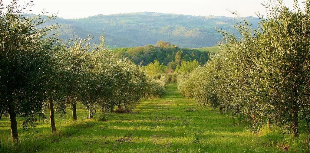 Podere Le Corone Villa Monte Castello di Vibio Dış mekan fotoğraf